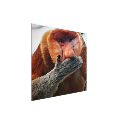 PLACA PROTECTORA DE VIDRIO PARA ESTUFA 50x52 NOSACZ