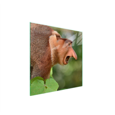 PLACA PROTECTORA DE VIDRIO PARA ESTUFA 50x52 NOSACZ