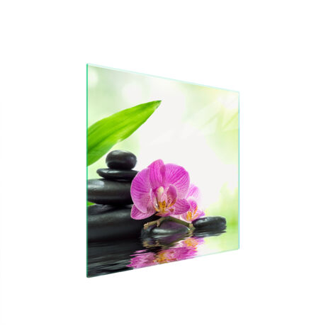 PLACA PROTECTORA DE VIDRIO PARA ESTUFA 50x52 ORQUÍDEA