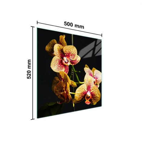 PLACA PROTECTORA DE VIDRIO PARA ESTUFA 50x52 ORQUÍDEA