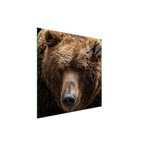 PLACA PROTECTORA DE VIDRIO PARA ESTUFA 50x52 OSITO DE PELUCHE