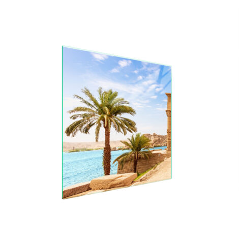 PLACA PROTECTORA DE VIDRIO PARA ESTUFA 50x52 PALMERAS