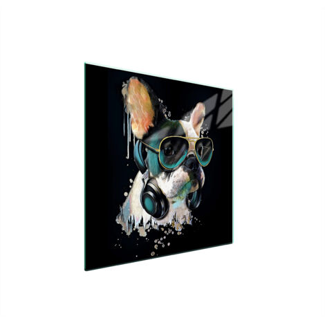 PLACA PROTECTORA DE VIDRIO PARA ESTUFA 50x52 PERRO