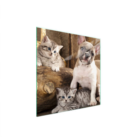 PLACA PROTECTORA DE VIDRIO PARA ESTUFA 50x52 PERRO