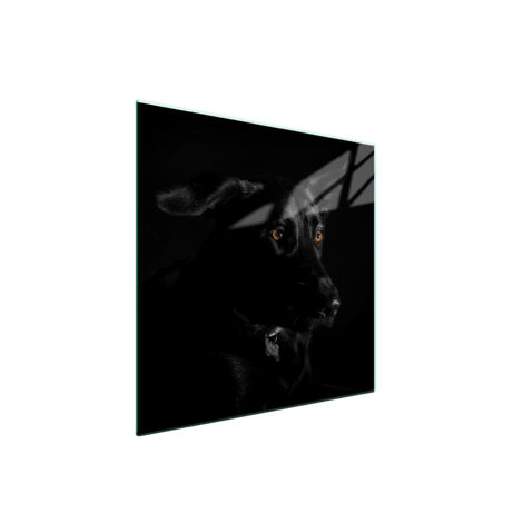 PLACA PROTECTORA DE VIDRIO PARA ESTUFA 50x52 PERRO