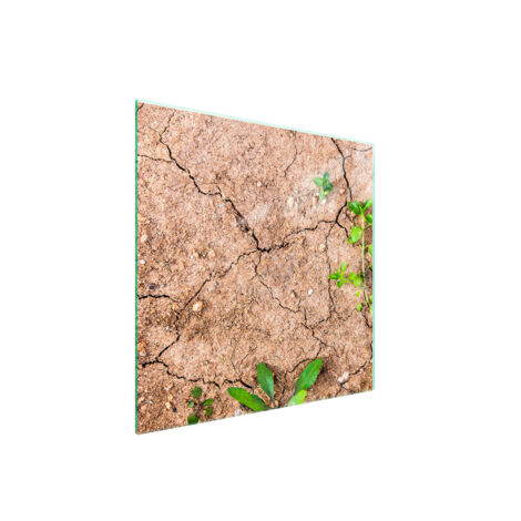 PLACA PROTECTORA DE VIDRIO PARA ESTUFA 50x52 PLANTAS