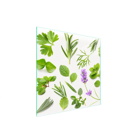 PLACA PROTECTORA DE VIDRIO PARA ESTUFA 50x52 PLANTAS