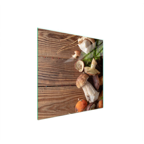 PLACA PROTECTORA DE VIDRIO PARA ESTUFA 50x52 SETAS