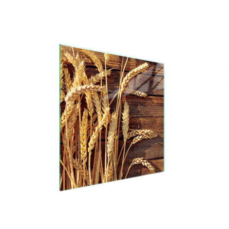 PLACA PROTECTORA DE VIDRIO PARA ESTUFA 50x52 TRIGO