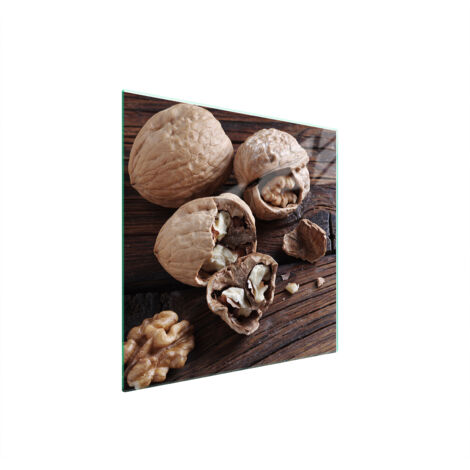 PLACA PROTECTORA DE VIDRIO PARA ESTUFA 50x52 TUERCAS