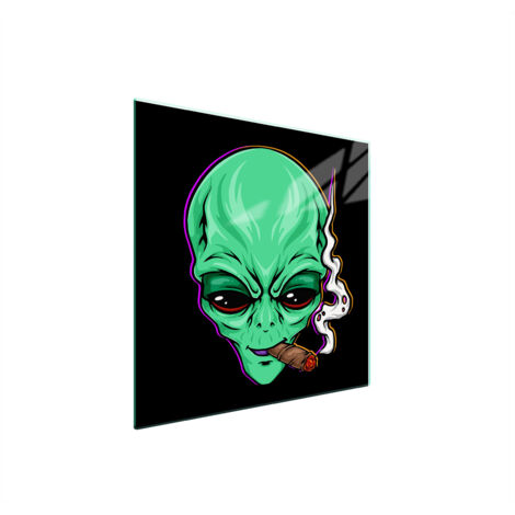PLACA PROTECTORA DE VIDRIO PARA ESTUFA 50x52 UFO