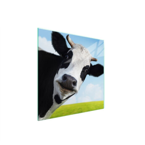 PLACA PROTECTORA DE VIDRIO PARA ESTUFA 50x52 VACA