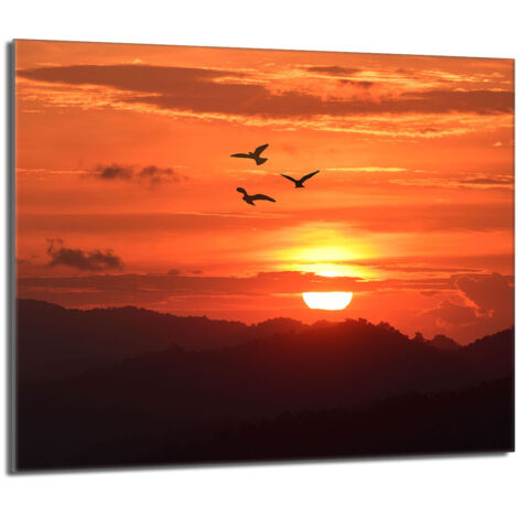 Placa protectora de vidrio para estufa 60x52 Sol