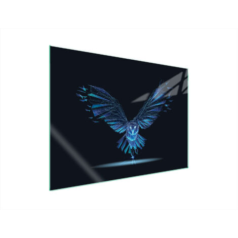 PLACA PROTECTORA DE VIDRIO PARA ESTUFA 70x52 BIRD