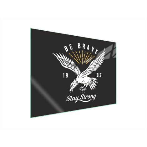 PLACA PROTECTORA DE VIDRIO PARA ESTUFA 70x52 BIRD