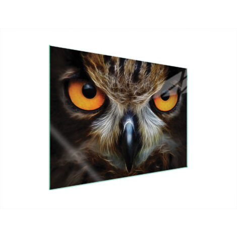 PLACA PROTECTORA DE VIDRIO PARA ESTUFA 70x52 BÚHO