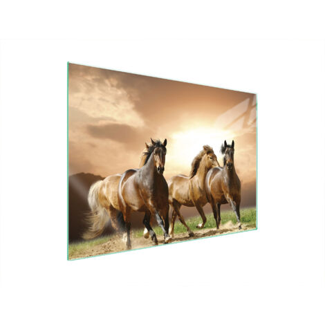 PLACA PROTECTORA DE VIDRIO PARA ESTUFA 70x52 CABALLOS