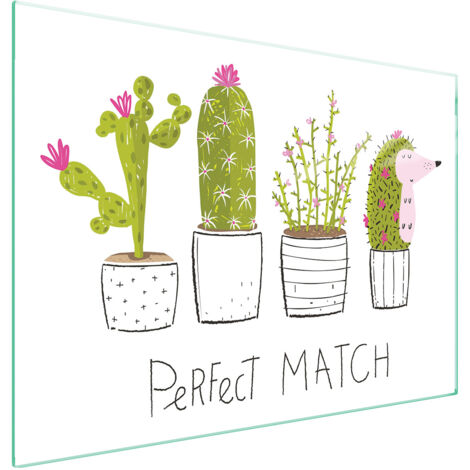 PLACA PROTECTORA DE VIDRIO PARA ESTUFA 70x52 CACTUS