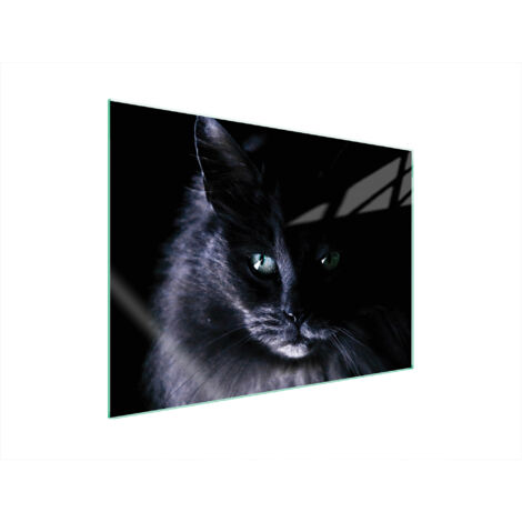 PLACA PROTECTORA DE VIDRIO PARA ESTUFA 70x52 CAT