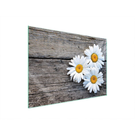 PLACA PROTECTORA DE VIDRIO PARA ESTUFA 70x52 DAISY