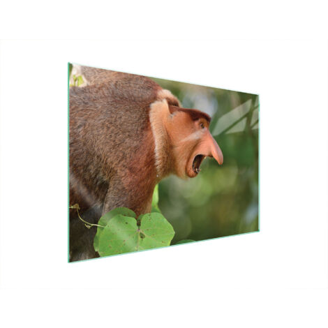 PLACA PROTECTORA DE VIDRIO PARA ESTUFA 70x52 NOSACZ
