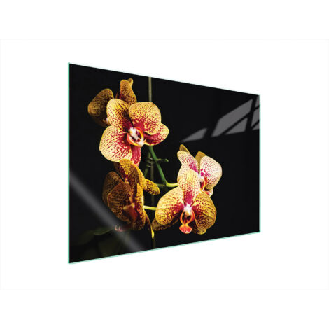 PLACA PROTECTORA DE VIDRIO PARA ESTUFA 70x52 ORQUÍDEA