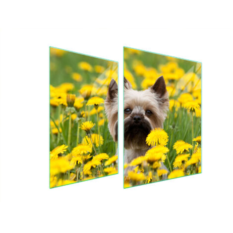 PLACA PROTECTORA DE VIDRIO PARA ESTUFA 70x52 PERRO
