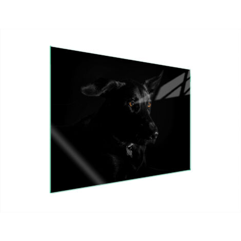 PLACA PROTECTORA DE VIDRIO PARA ESTUFA 70x52 PERRO
