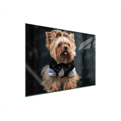 PLACA PROTECTORA DE VIDRIO PARA ESTUFA 70x52 PERRO