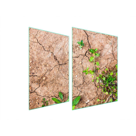 PLACA PROTECTORA DE VIDRIO PARA ESTUFA 70x52 PLANTAS