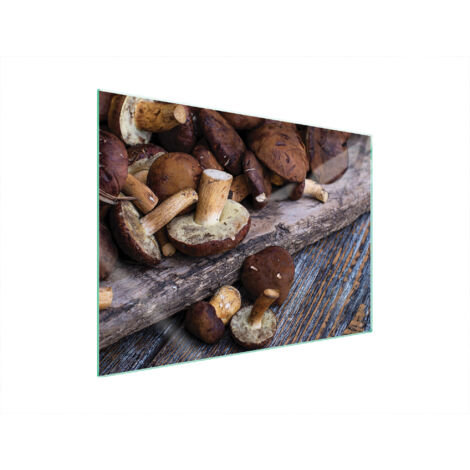 PLACA PROTECTORA DE VIDRIO PARA ESTUFA 70x52 SETAS