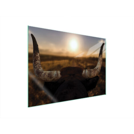 PLACA PROTECTORA DE VIDRIO PARA ESTUFA 70x52 SUN