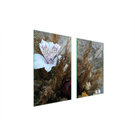PLACA PROTECTORA DE VIDRIO PARA ESTUFA 75x52 ORQUÍDEA