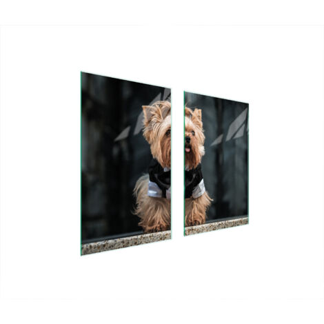 PLACA PROTECTORA DE VIDRIO PARA ESTUFA 75x52 PERRO
