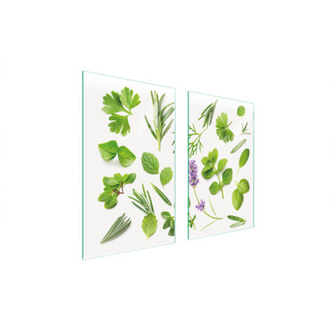 PLACA PROTECTORA DE VIDRIO PARA ESTUFA 75x52 PLANTAS