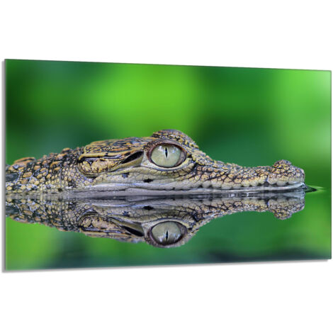 Placa protectora de vidrio para estufa 80x52 Cocodrilo