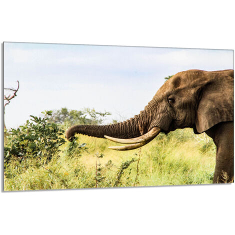 Placa protectora de vidrio para estufa 80x52 Elefante