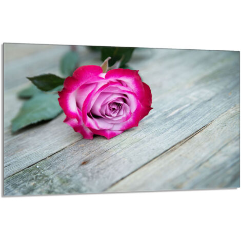 Placa protectora de vidrio para estufa 80x52 Rosa