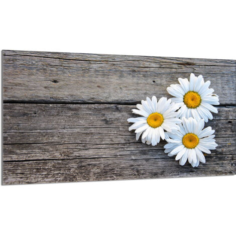 Placa protectora de vidrio para estufa 90x52 Daisy