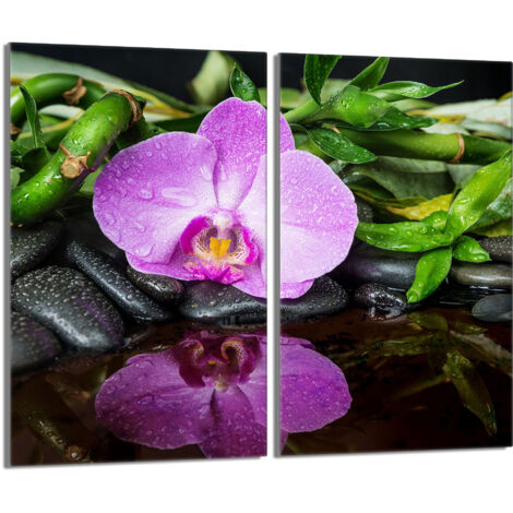 Placa protectora de vidrio para la estufa 2x30x52 Orchidea