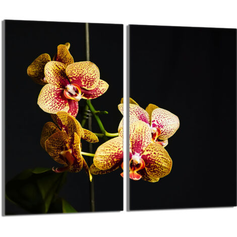 Placa protectora de vidrio para la estufa 2x30x52 Orchidea