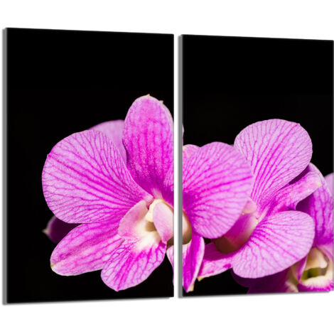Placa protectora de vidrio para la estufa 2x30x52 Orchidea