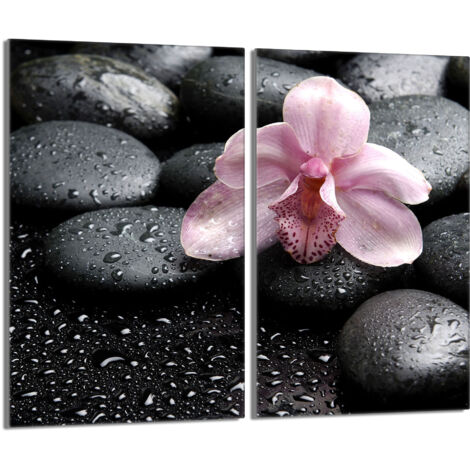 Placa protectora de vidrio para la estufa 2x30x52 Orchidea