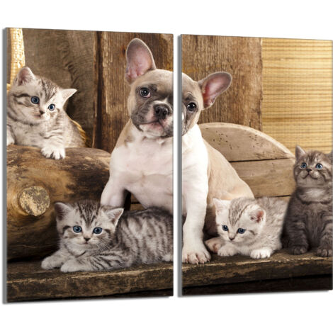 Placa protectora de vidrio para la estufa 2x30x52 Perro