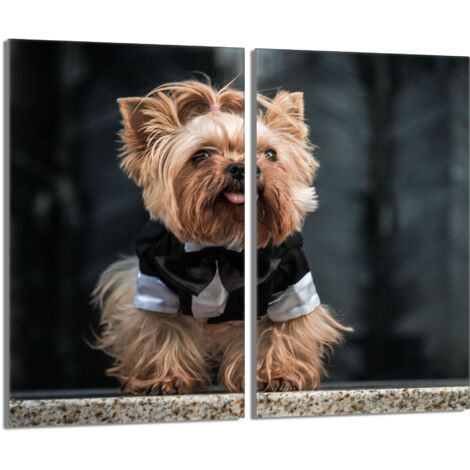 Placa protectora de vidrio para la estufa 2x30x52 Perro
