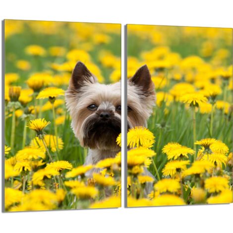 Placa protectora de vidrio para la estufa 2x30x52 Perro