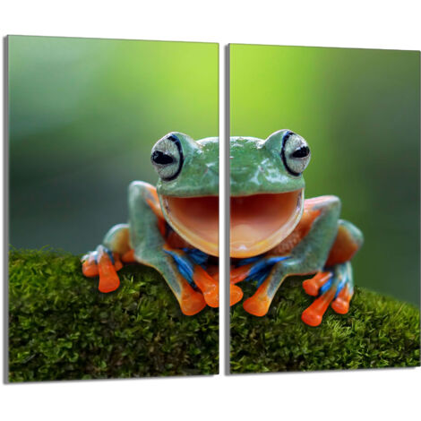 Placa protectora de vidrio para la estufa 2x30x52 Rana