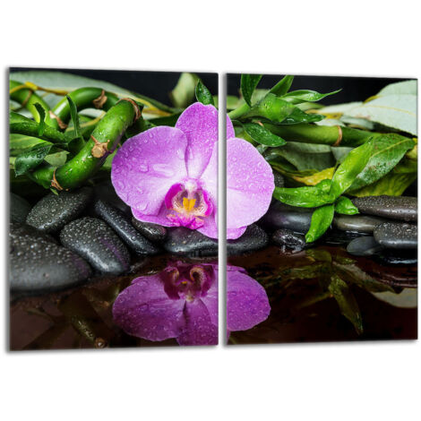 Placa protectora de vidrio para la estufa 2x40x52 Orchidea