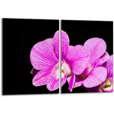 Placa protectora de vidrio para la estufa 2x40x52 Orchidea