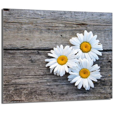 Placa protectora de vidrio para la estufa 60x52 Daisy